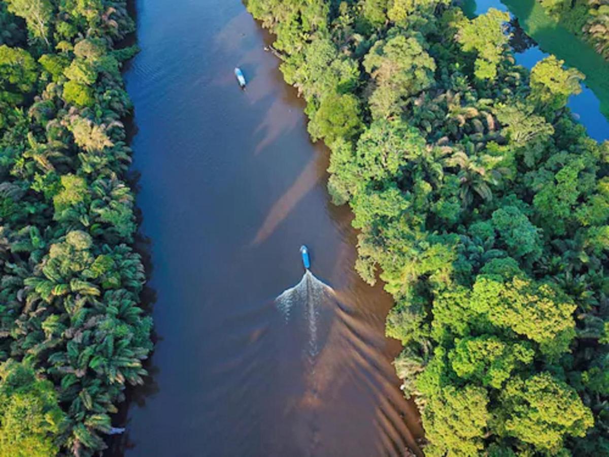 La Baula Lodge Tortuguero Exterior foto