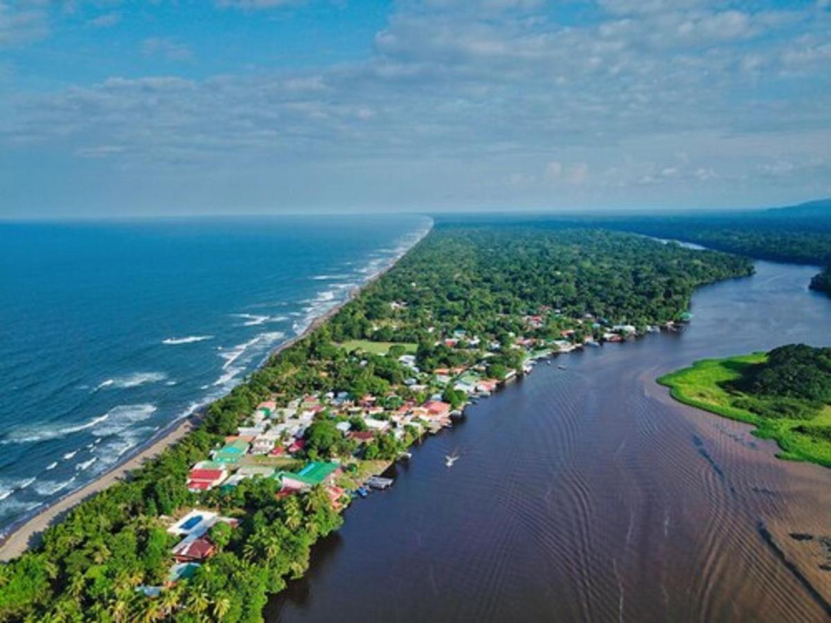 La Baula Lodge Tortuguero Exterior foto