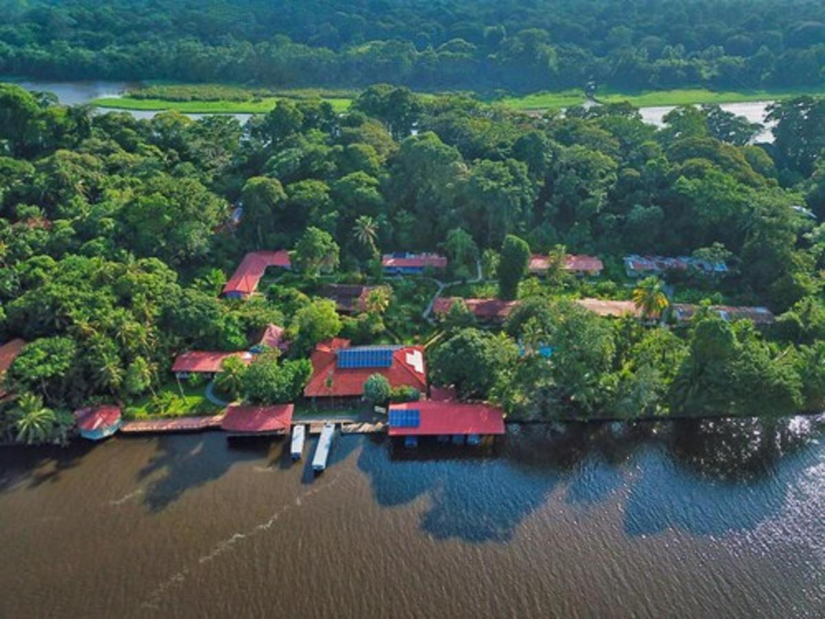 La Baula Lodge Tortuguero Exterior foto