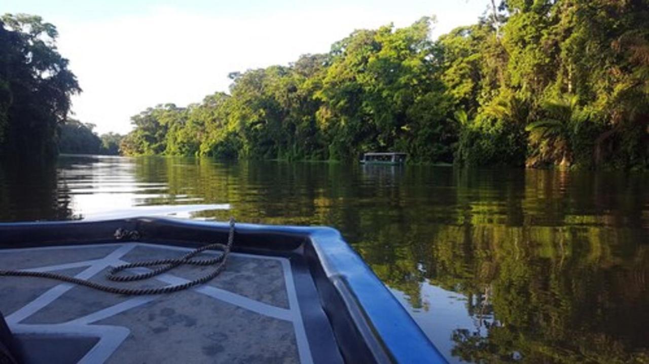 La Baula Lodge Tortuguero Exterior foto