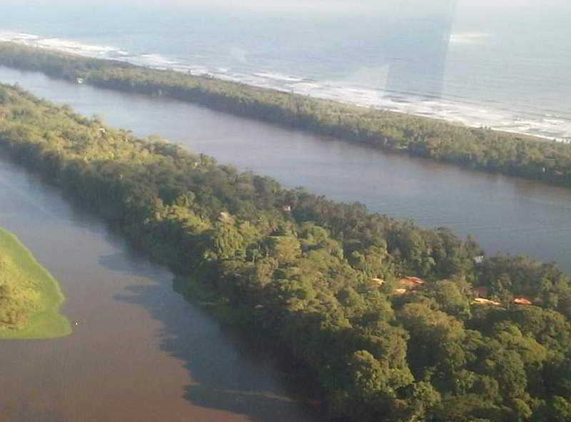 La Baula Lodge Tortuguero Exterior foto