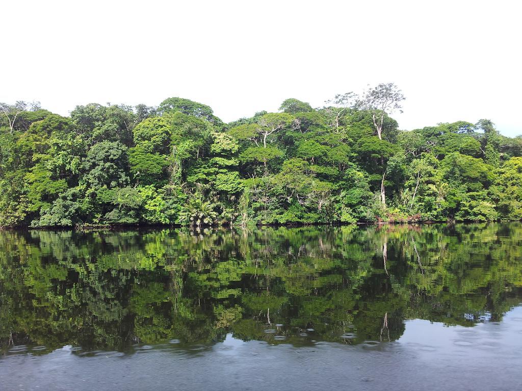 La Baula Lodge Tortuguero Exterior foto